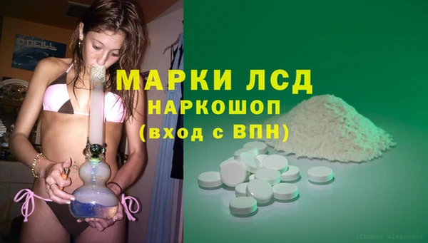 mdpv Гусев