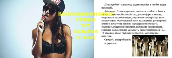 кристаллы Гусь-Хрустальный