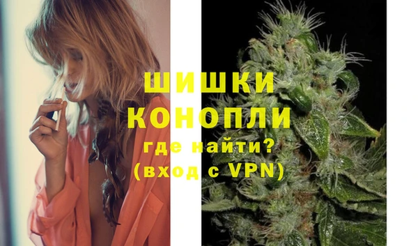 spice Гусиноозёрск