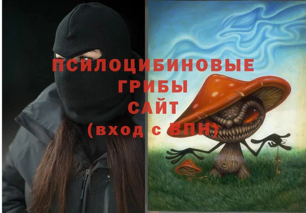 spice Гусиноозёрск
