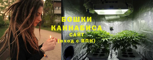 spice Гусиноозёрск