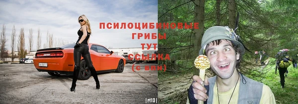 кристаллы Гусь-Хрустальный