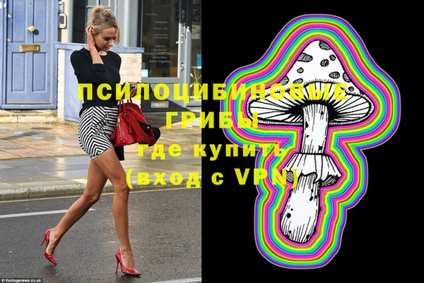 кристаллы Гусь-Хрустальный