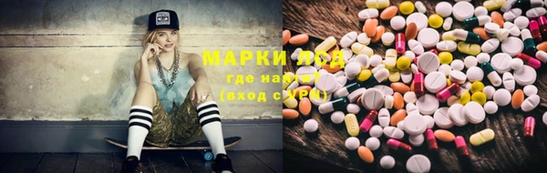 mdpv Гусев